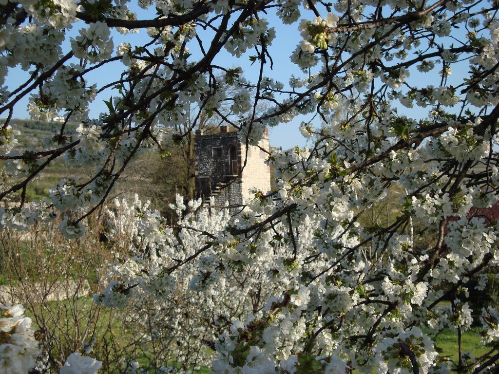 B&B La Grola San Martino Buon Albergo Pokoj fotografie